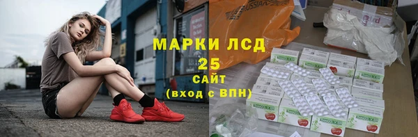 PSILOCYBIN Алзамай