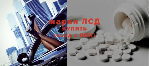 PSILOCYBIN Алзамай