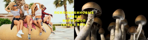 каннабис Алексин