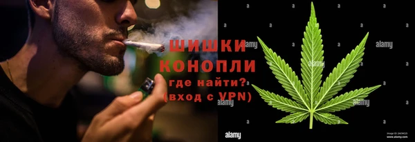 PSILOCYBIN Алзамай