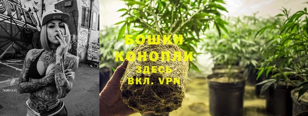 PSILOCYBIN Алзамай