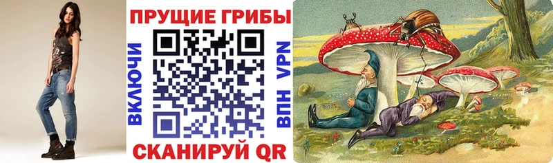 Псилоцибиновые грибы мухоморы  как найти закладки  Ковылкино 